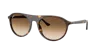 Ray Ban Ray In Brown