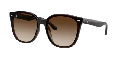 Ray Ban Ray In Brown