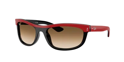 Ray Ban Ray In Brown