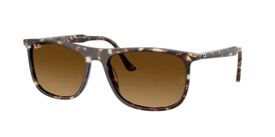 Ray Ban Ray In Brown