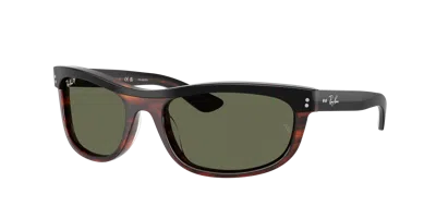 Ray Ban Ray In Brown