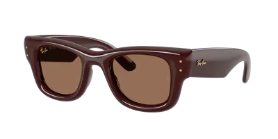Ray Ban Ray In Brown