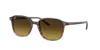 Ray Ban Ray In Brown