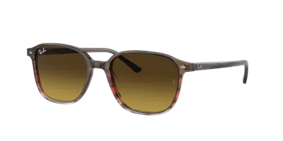Ray Ban Ray In Brown