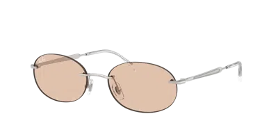 Ray Ban Ray In Brown