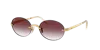 Ray Ban Ray In Brown