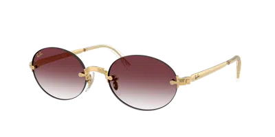 Ray Ban Ray In Brown