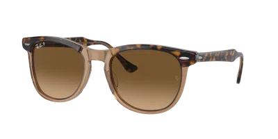 Ray Ban Ray In Brown