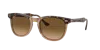 Ray Ban Ray In Brown