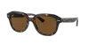 Ray Ban Ray In Brown