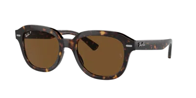 Ray Ban Ray In Brown