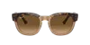 Ray Ban Ray In Brown