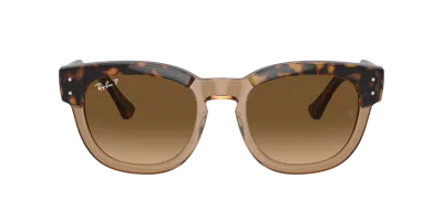 Ray Ban Ray In Brown