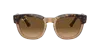 Ray Ban Ray In Brown