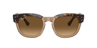 Ray Ban Ray In Brown