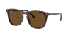 Ray Ban Ray In Brown