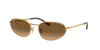 Ray Ban Ray In Brown