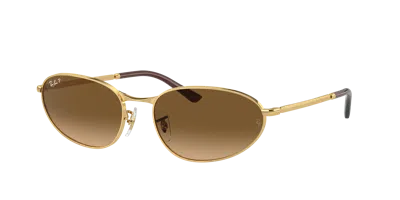Ray Ban Ray In Brown