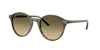 Ray Ban Ray In Brown