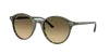 Ray Ban Ray In Brown