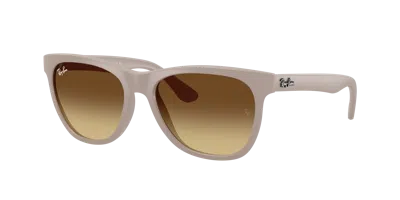 Ray Ban Ray In Brown Gradient