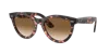 Ray Ban Ray In Clear & Brown