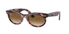 Ray Ban Ray In Clear & Brown