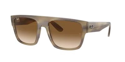 Ray Ban Ray In Clear & Brown
