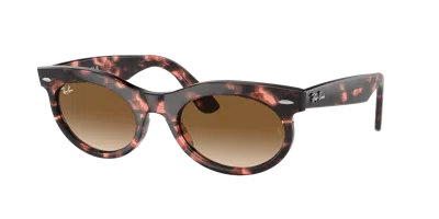 Ray Ban Ray In Clear & Brown