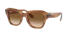 Ray Ban Ray In Clear & Brown