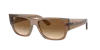 Ray Ban Ray In Clear & Brown