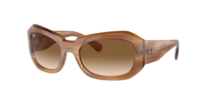 Ray Ban Ray In Clear & Brown