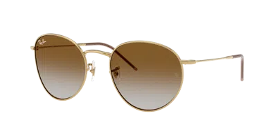 Ray Ban Ray In Brown