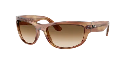 Ray Ban Ray In Brown