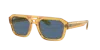 Ray Ban Ray In Dark Blue