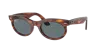 Ray Ban Ray In Dark Blue