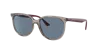 Ray Ban Ray In Dark Blue