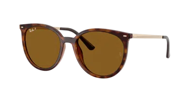 Ray Ban Ray In Dark Brown Polarized