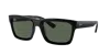 Ray Ban Ray In Dark Green
