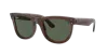 Ray Ban Ray In Dark Green