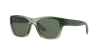 Ray Ban Ray In Dark Green
