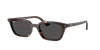 Ray Ban Ray In Dark Grey