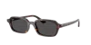 Ray Ban Ray In Dark Grey
