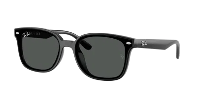 Ray Ban Ray In Black
