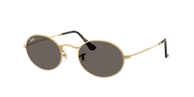 Ray Ban Ray In Dark Grey