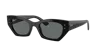 Ray Ban Ray In Dark Grey