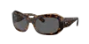Ray Ban Ray In Dark Grey