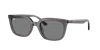 Ray Ban Ray In Dark Grey