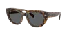 Ray Ban Ray In Dark Grey