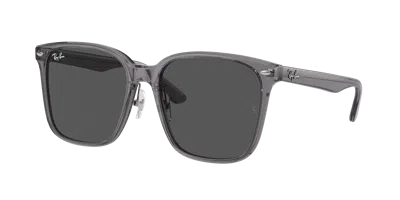 Ray Ban Ray In Gray